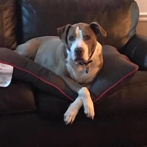 Meet your Posher, Sandra